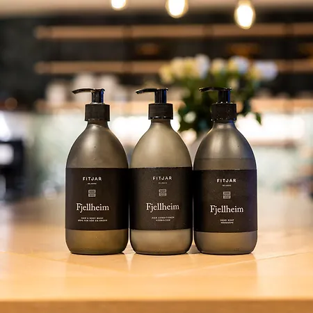 מלון Fretheim 4*
