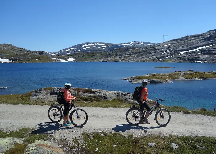 フレトハイム 4*