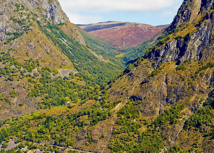 Hotel Fretheim Flåm